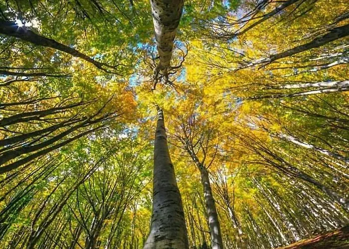 Le Casette Della Panoramica