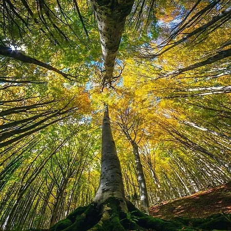 Le Casette Della Panoramica