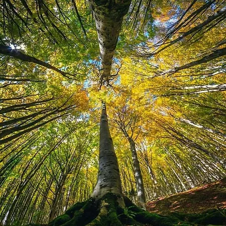Le Casette Della Panoramica